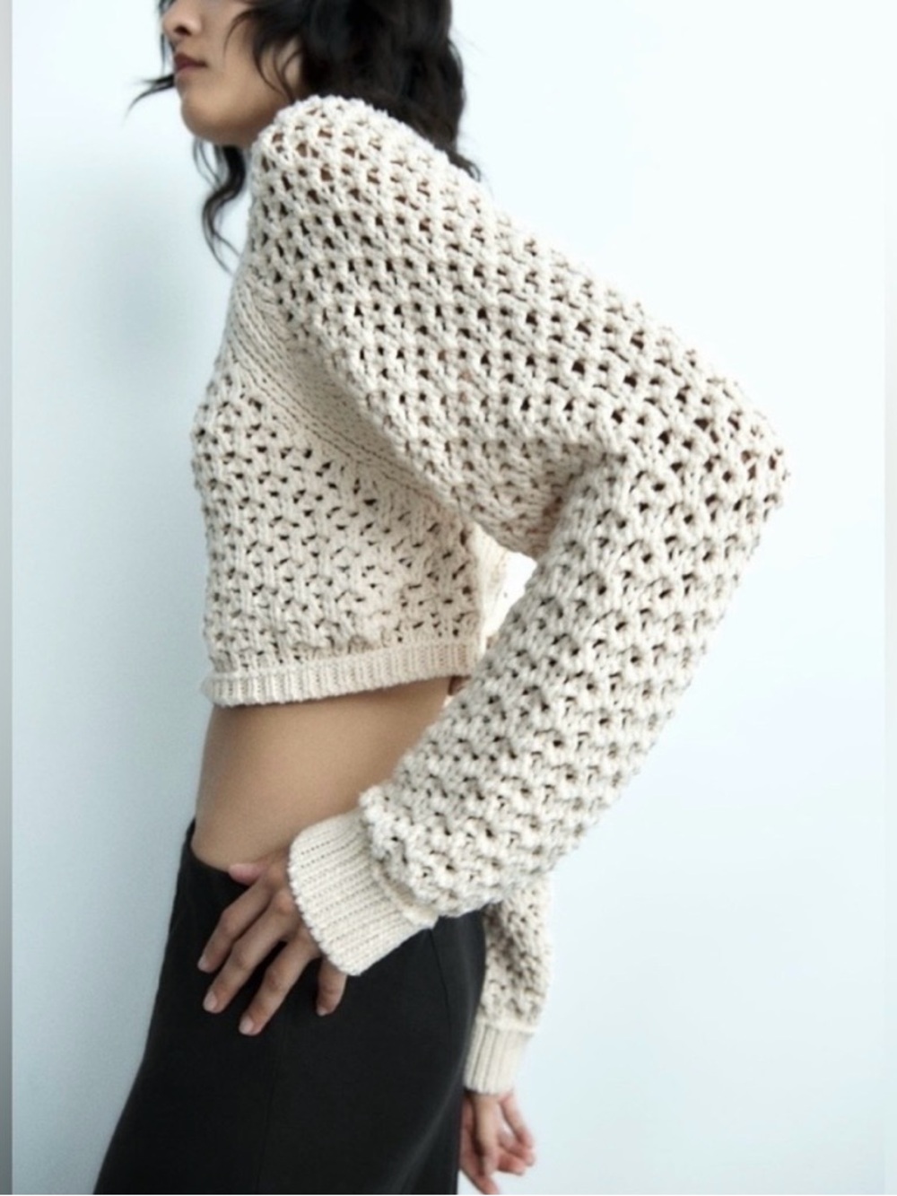Zara Cut-Out Crochet Knit Sweater